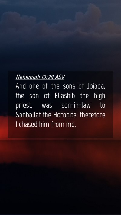 Picture 04 - Nehemiah 13:28 ASV Mobile Phone Wallpaper - And one of the sons of Joiada, the son of - Mobile Bible Verse Wallpaper