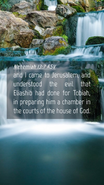 Picture 04 - Nehemiah 13:7 ASV Mobile Phone Wallpaper - and I came to Jerusalem, and understood the evil - Mobile Bible Verse Wallpaper