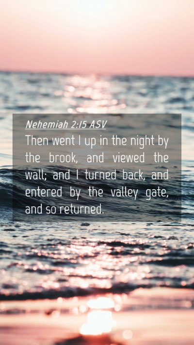 Picture 04 - Nehemiah 2:15 ASV Mobile Phone Wallpaper - Then went I up in the night by the brook, and - Mobile Bible Verse Wallpaper