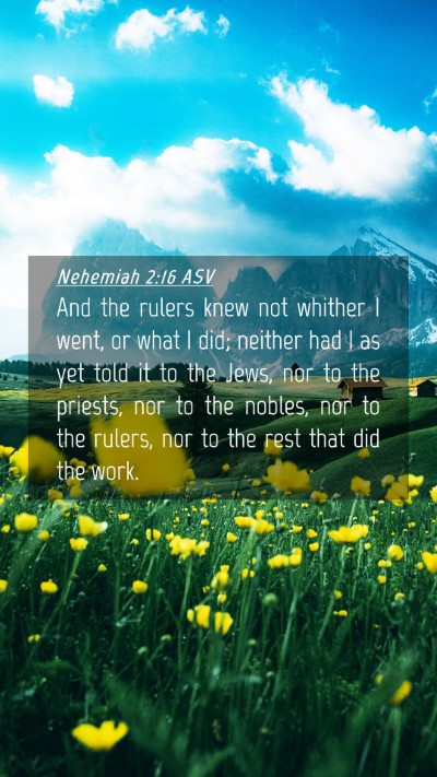 Picture 04 - Nehemiah 2:16 ASV Mobile Phone Wallpaper - And the rulers knew not whither I went, or what I - Mobile Bible Verse Wallpaper