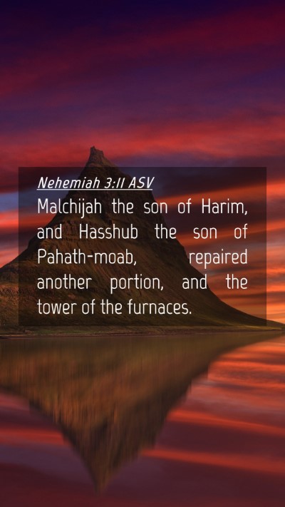 Picture 04 - Nehemiah 3:11 ASV Mobile Phone Wallpaper - Malchijah the son of Harim, and Hasshub the son - Mobile Bible Verse Wallpaper