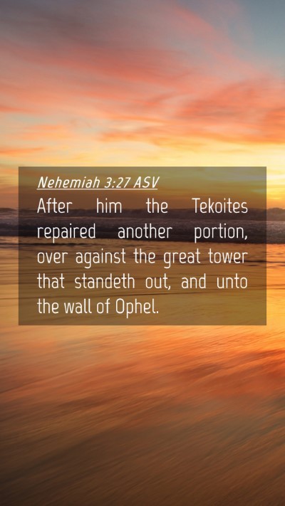 Picture 04 - Nehemiah 3:27 ASV Mobile Phone Wallpaper - After him the Tekoites repaired another portion, - Mobile Bible Verse Wallpaper