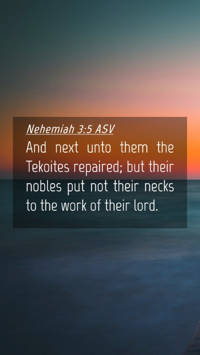 Picture 04 - Nehemiah 3:5 ASV Mobile Phone Wallpaper - And next unto them the Tekoites repaired; but - Mobile Bible Verse Wallpaper
