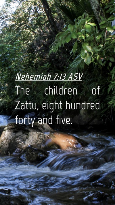 Picture 04 - Nehemiah 7:13 ASV Mobile Phone Wallpaper - The children of Zattu, eight hundred forty and - Mobile Bible Verse Wallpaper