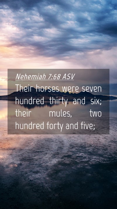 Picture 04 - Nehemiah 7:68 ASV Mobile Phone Wallpaper - Their horses were seven hundred thirty and six; - Mobile Bible Verse Wallpaper