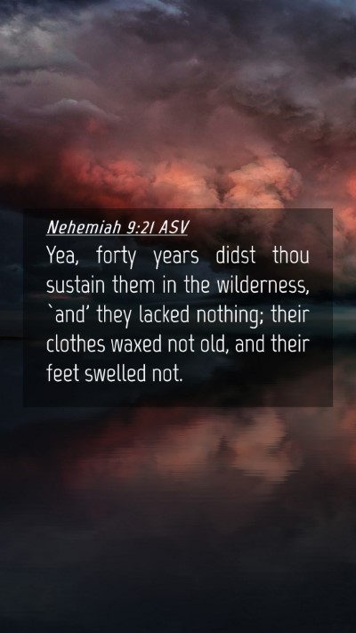 Picture 04 - Nehemiah 9:21 ASV Mobile Phone Wallpaper - Yea, forty years didst thou sustain them in the - Mobile Bible Verse Wallpaper
