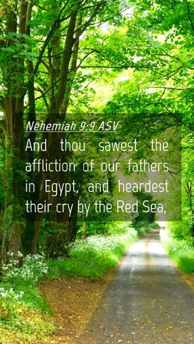 Picture 04 - Nehemiah 9:9 ASV Mobile Phone Wallpaper - And thou sawest the affliction of our fathers in - Mobile Bible Verse Wallpaper