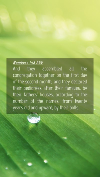 Picture 04 - Numbers 1:18 ASV Mobile Phone Wallpaper - And they assembled all the congregation together - Mobile Bible Verse Wallpaper