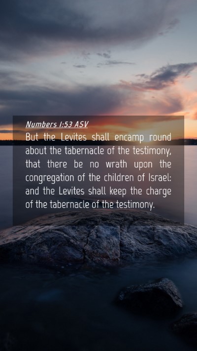 Picture 04 - Numbers 1:53 ASV Mobile Phone Wallpaper - But the Levites shall encamp round about the - Mobile Bible Verse Wallpaper