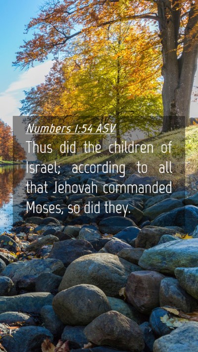 Picture 04 - Numbers 1:54 ASV Mobile Phone Wallpaper - Thus did the children of Israel; according to all - Mobile Bible Verse Wallpaper