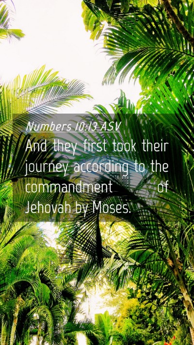 Picture 04 - Numbers 10:13 ASV Mobile Phone Wallpaper - And they first took their journey according to - Mobile Bible Verse Wallpaper