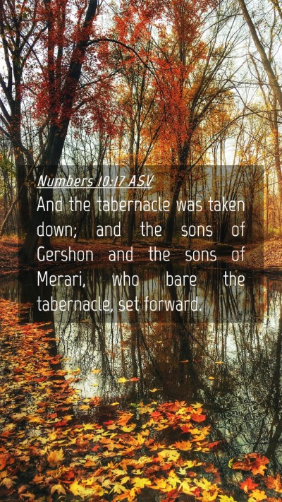 Picture 04 - Numbers 10:17 ASV Mobile Phone Wallpaper - And the tabernacle was taken down; and the sons - Mobile Bible Verse Wallpaper