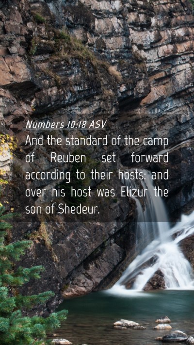 Picture 04 - Numbers 10:18 ASV Mobile Phone Wallpaper - And the standard of the camp of Reuben set - Mobile Bible Verse Wallpaper