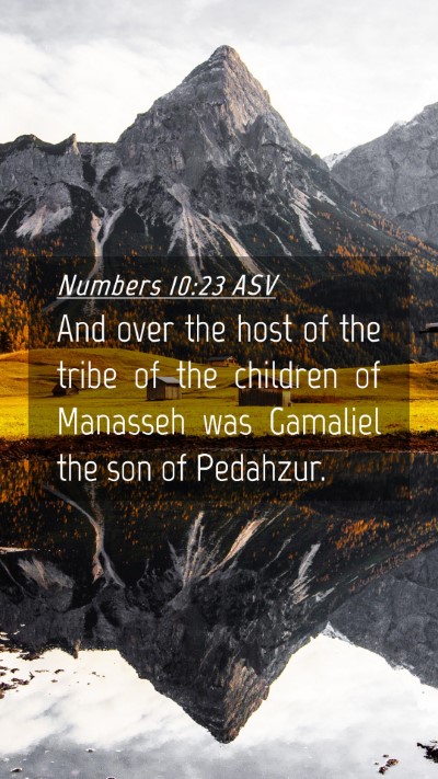 Picture 04 - Numbers 10:23 ASV Mobile Phone Wallpaper - And over the host of the tribe of the children of - Mobile Bible Verse Wallpaper