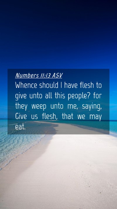 Picture 04 - Numbers 11:13 ASV Mobile Phone Wallpaper - Whence should I have flesh to give unto all this - Mobile Bible Verse Wallpaper