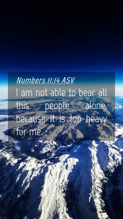 Picture 04 - Numbers 11:14 ASV Mobile Phone Wallpaper - I am not able to bear all this people alone, - Mobile Bible Verse Wallpaper