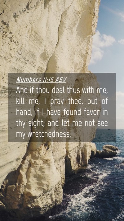 Picture 04 - Numbers 11:15 ASV Mobile Phone Wallpaper - And if thou deal thus with me, kill me, I pray - Mobile Bible Verse Wallpaper