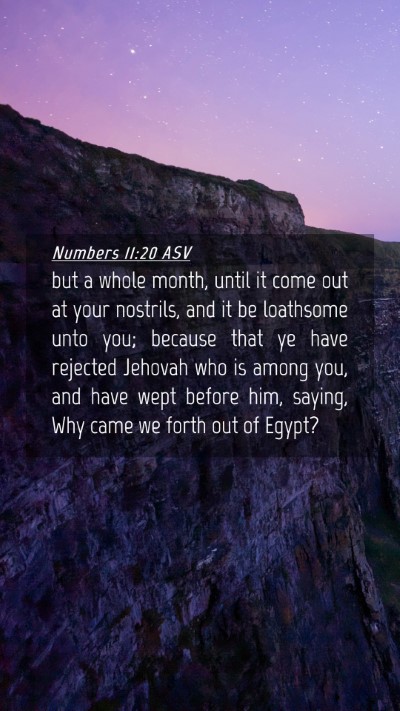 Picture 04 - Numbers 11:20 ASV Mobile Phone Wallpaper - but a whole month, until it come out at your - Mobile Bible Verse Wallpaper