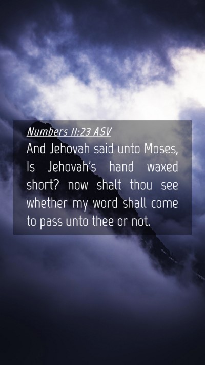 Picture 04 - Numbers 11:23 ASV Mobile Phone Wallpaper - And Jehovah said unto Moses, Is Jehovah's hand - Mobile Bible Verse Wallpaper
