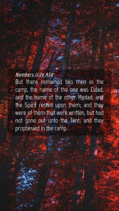Picture 04 - Numbers 11:26 ASV Mobile Phone Wallpaper - But there remained two men in the camp, the name - Mobile Bible Verse Wallpaper