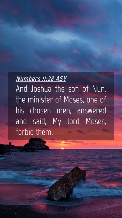 Picture 04 - Numbers 11:28 ASV Mobile Phone Wallpaper - And Joshua the son of Nun, the minister of Moses, - Mobile Bible Verse Wallpaper