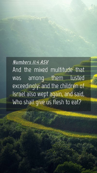 Picture 04 - Numbers 11:4 ASV Mobile Phone Wallpaper - And the mixed multitude that was among them - Mobile Bible Verse Wallpaper
