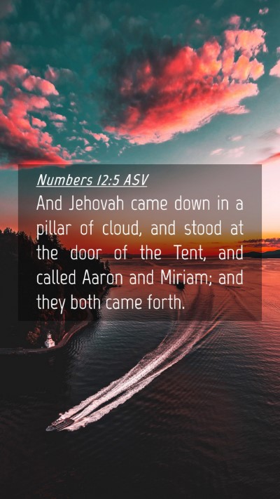 Picture 04 - Numbers 12:5 ASV Mobile Phone Wallpaper - And Jehovah came down in a pillar of cloud, and - Mobile Bible Verse Wallpaper