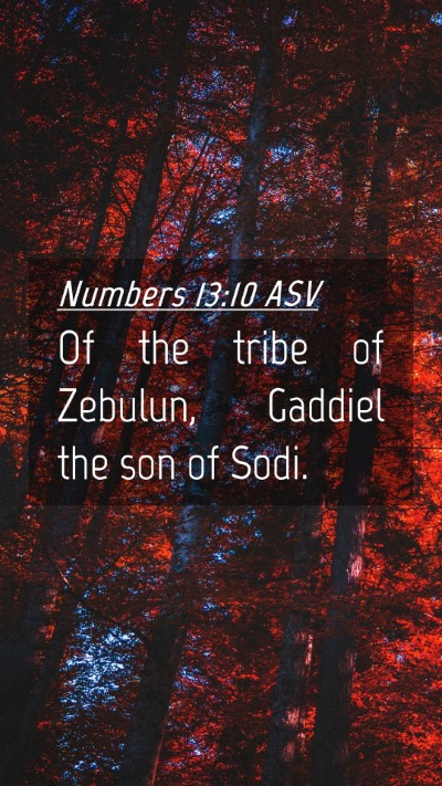 Picture 04 - Numbers 13:10 ASV Mobile Phone Wallpaper - Of the tribe of Zebulun, Gaddiel the son of - Mobile Bible Verse Wallpaper