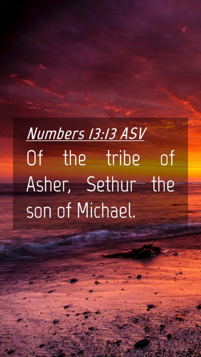 Picture 04 - Numbers 13:13 ASV Mobile Phone Wallpaper - Of the tribe of Asher, Sethur the son of - Mobile Bible Verse Wallpaper