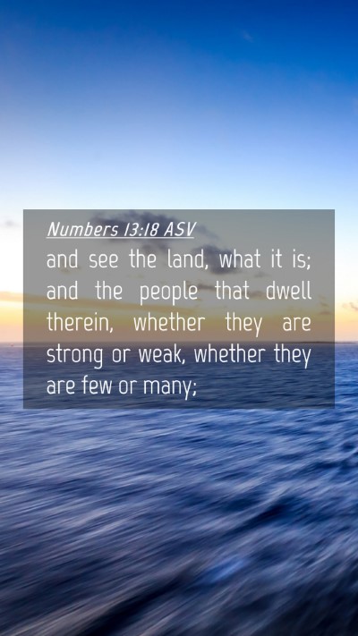 Picture 04 - Numbers 13:18 ASV Mobile Phone Wallpaper - and see the land, what it is; and the people that - Mobile Bible Verse Wallpaper