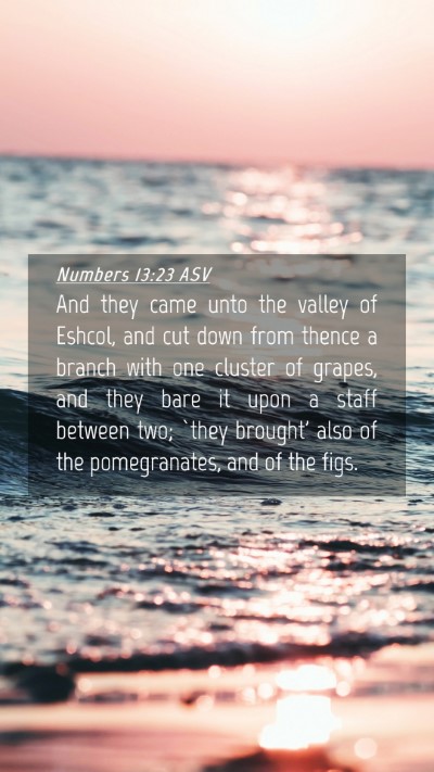 Picture 04 - Numbers 13:23 ASV Mobile Phone Wallpaper - And they came unto the valley of Eshcol, and cut - Mobile Bible Verse Wallpaper