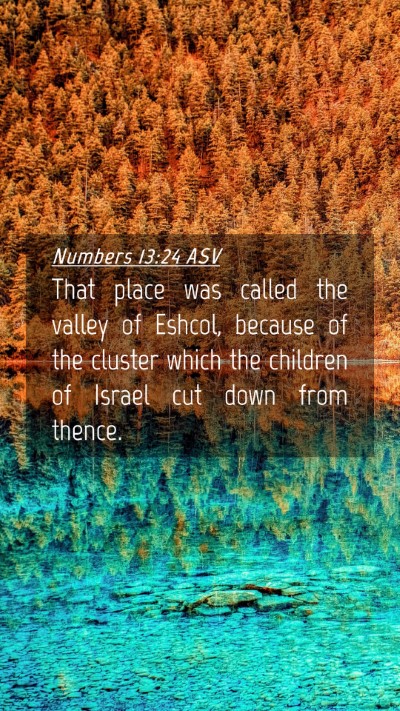 Picture 04 - Numbers 13:24 ASV Mobile Phone Wallpaper - That place was called the valley of Eshcol, - Mobile Bible Verse Wallpaper