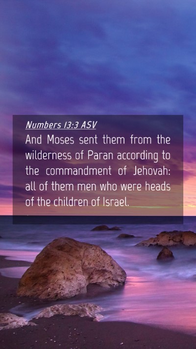Picture 04 - Numbers 13:3 ASV Mobile Phone Wallpaper - And Moses sent them from the wilderness of Paran - Mobile Bible Verse Wallpaper
