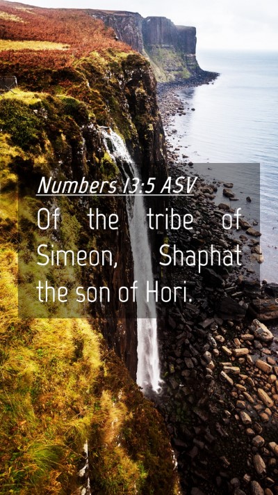 Picture 04 - Numbers 13:5 ASV Mobile Phone Wallpaper - Of the tribe of Simeon, Shaphat the son of - Mobile Bible Verse Wallpaper