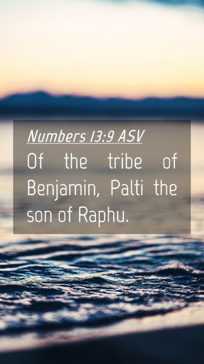 Picture 04 - Numbers 13:9 ASV Mobile Phone Wallpaper - Of the tribe of Benjamin, Palti the son of - Mobile Bible Verse Wallpaper