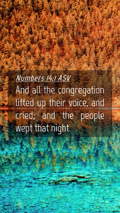 Picture 04 - Numbers 14:1 ASV Mobile Phone Wallpaper - And all the congregation lifted up their voice, - Mobile Bible Verse Wallpaper