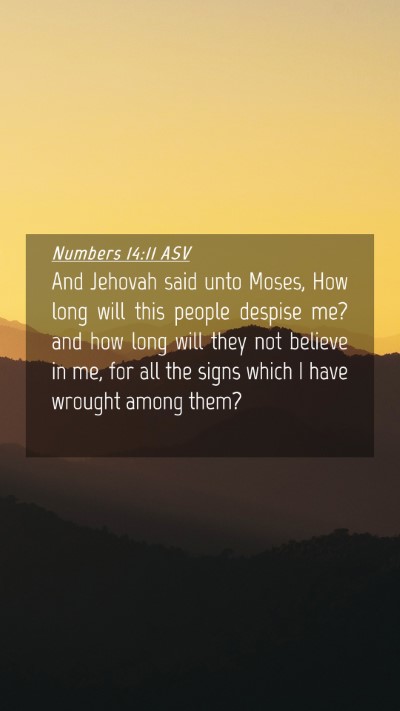 Picture 04 - Numbers 14:11 ASV Mobile Phone Wallpaper - And Jehovah said unto Moses, How long will this - Mobile Bible Verse Wallpaper