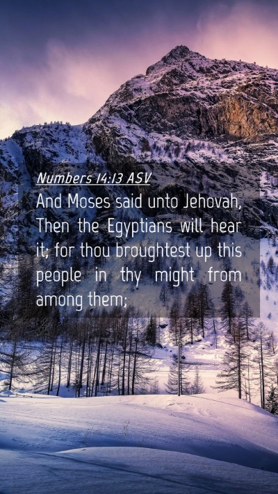 Picture 04 - Numbers 14:13 ASV Mobile Phone Wallpaper - And Moses said unto Jehovah, Then the Egyptians - Mobile Bible Verse Wallpaper