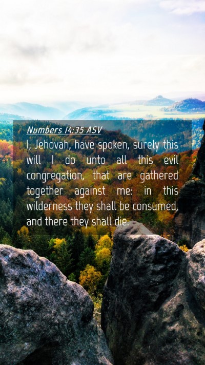 Picture 04 - Numbers 14:35 ASV Mobile Phone Wallpaper - I, Jehovah, have spoken, surely this will I do - Mobile Bible Verse Wallpaper