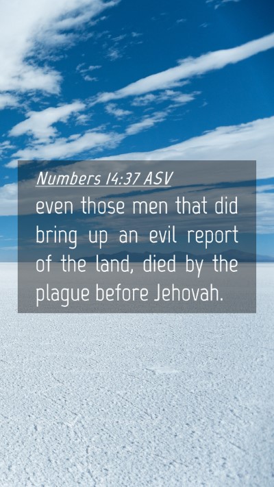 Picture 04 - Numbers 14:37 ASV Mobile Phone Wallpaper - even those men that did bring up an evil report - Mobile Bible Verse Wallpaper
