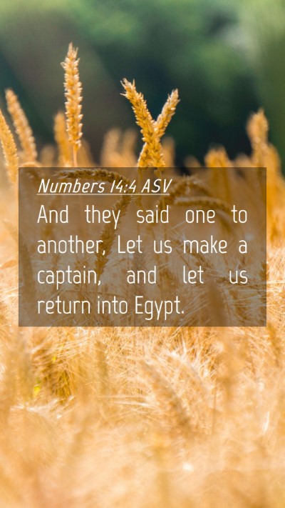 Picture 04 - Numbers 14:4 ASV Mobile Phone Wallpaper - And they said one to another, Let us make a - Mobile Bible Verse Wallpaper