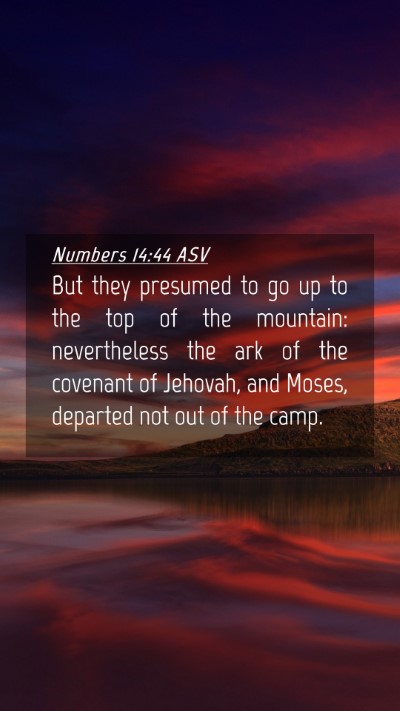 Picture 04 - Numbers 14:44 ASV Mobile Phone Wallpaper - But they presumed to go up to the top of the - Mobile Bible Verse Wallpaper