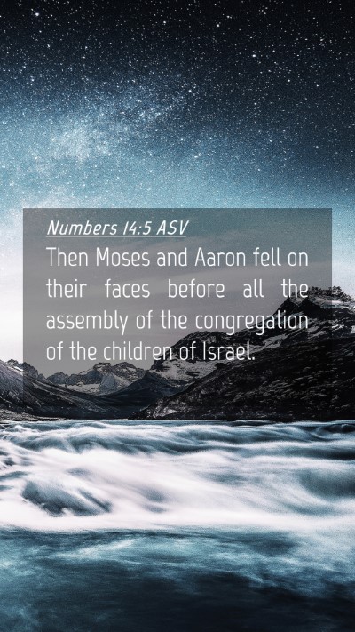 Picture 04 - Numbers 14:5 ASV Mobile Phone Wallpaper - Then Moses and Aaron fell on their faces before - Mobile Bible Verse Wallpaper