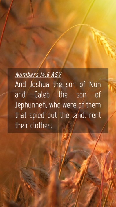 Picture 04 - Numbers 14:6 ASV Mobile Phone Wallpaper - And Joshua the son of Nun and Caleb the son of - Mobile Bible Verse Wallpaper