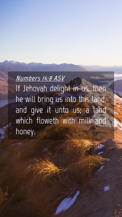 Picture 04 - Numbers 14:8 ASV Mobile Phone Wallpaper - If Jehovah delight in us, then he will bring us - Mobile Bible Verse Wallpaper