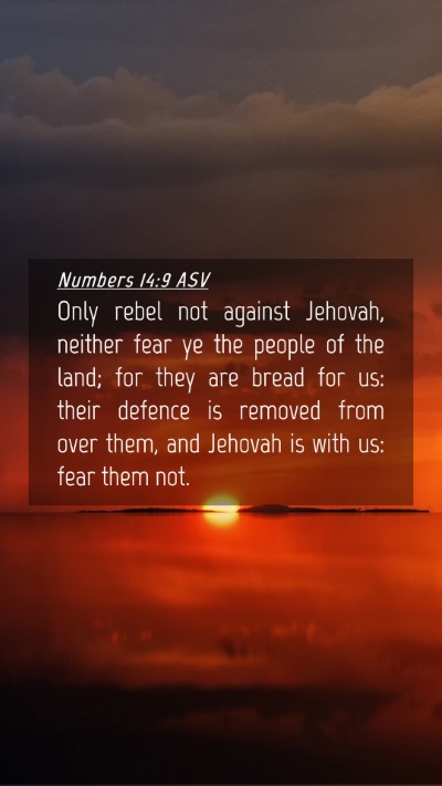 Picture 04 - Numbers 14:9 ASV Mobile Phone Wallpaper - Only rebel not against Jehovah, neither fear ye - Mobile Bible Verse Wallpaper