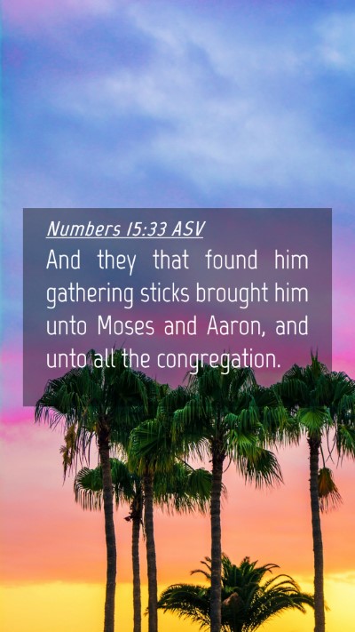 Picture 04 - Numbers 15:33 ASV Mobile Phone Wallpaper - And they that found him gathering sticks brought - Mobile Bible Verse Wallpaper