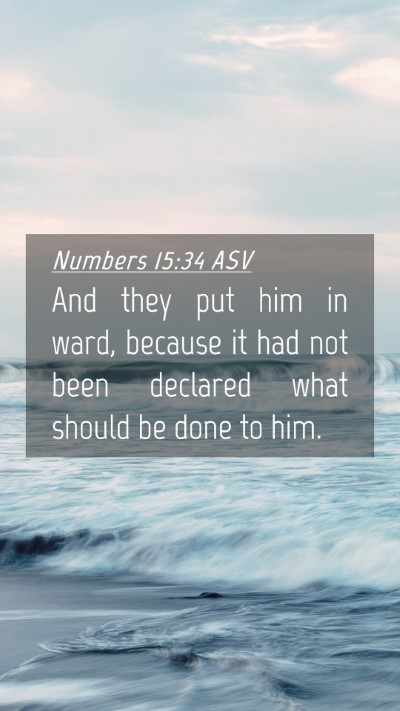 Picture 04 - Numbers 15:34 ASV Mobile Phone Wallpaper - And they put him in ward, because it had not been - Mobile Bible Verse Wallpaper