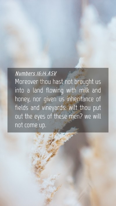 Picture 04 - Numbers 16:14 ASV Mobile Phone Wallpaper - Moreover thou hast not brought us into a land - Mobile Bible Verse Wallpaper