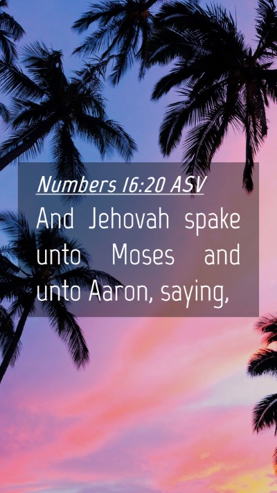 Picture 04 - Numbers 16:20 ASV Mobile Phone Wallpaper - And Jehovah spake unto Moses and unto Aaron, - Mobile Bible Verse Wallpaper